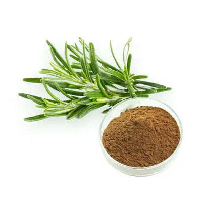 Rosemary Leaf Extract