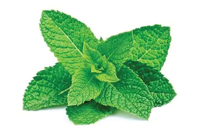 Peppermint Oil