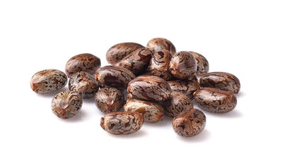 Castor Oil